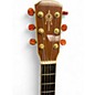 Used Alvarez YAIRI DYM95 Natural Acoustic Guitar