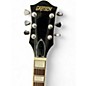 Used Gretsch Guitars G2420T Streamliner Brown Hollow Body Electric Guitar