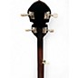 Used Savannah 5 STRING BANJO 2 Color Sunburst Banjo