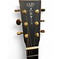 Used Martin GPCPA1PLUS Brown Acoustic Electric Guitar