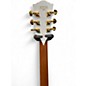 Used Firefly BULLSEYE White Solid Body Electric Guitar