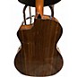 Used Taylor 214CE PLUS Natural Acoustic Electric Guitar