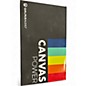 Used Walrus Audio CANVAS POWER Power Supply