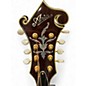 Vintage 1980s Aria AM600 Vintage Sunburst Mandolin