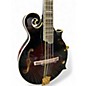 Used Ibanez M522S Brown Sunburst Mandolin