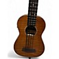 Used Kala Exotic Mahogany U-Bass Natural Acoustic Bass Guitar