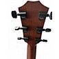 Used Taylor 314CE-SE Tobacco Burst Acoustic Electric Guitar