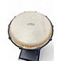 Used Mountain Rhythm 10" djembe Djembe