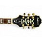 Used Epiphone Sheraton Ebony Hollow Body Electric Guitar