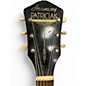 Vintage 1957 Harmony Patrician Natural Hollow Body Electric Guitar