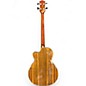 Used Luna Vista Bear Natural Acoustic Bass Guitar