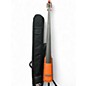 Used Nxt NS Design 5 STR BASS 2 Color Sunburst Upright Bass thumbnail