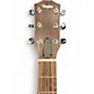 Used Taylor BBTE Big Baby Natural Acoustic Electric Guitar