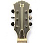 Used Wylde Audio Odin Blackout Black Solid Body Electric Guitar
