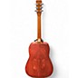 Used Norman B15 Burgundy Acoustic Guitar