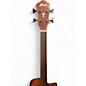Used Ibanez AEGB24FE Mahogany Acoustic Bass Guitar