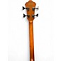Used Ibanez AEGB24FE Mahogany Acoustic Bass Guitar