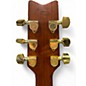 Used Washburn d100m Brown Acoustic Guitar