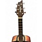 Used Breedlove DISCOVERY CONCERT BO Sunburst Solid Body Electric Guitar
