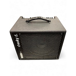 Used AER cheeky d. Guitar Combo Amp
