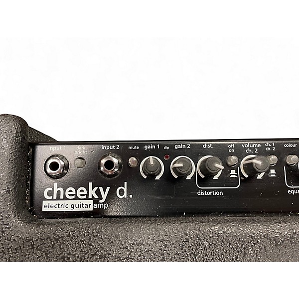 Used AER cheeky d. Guitar Combo Amp