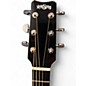 Used RainSong WS1000 CARBON FIBER Acoustic Electric Guitar