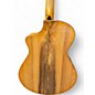 Used Breedlove Artista Concert Natural Shadow CE Natural Acoustic Electric Guitar