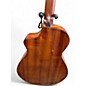 Used Breedlove DISCOVERY S CONCERT ED 12 CE Tobacco Burst 12 String Acoustic Electric Guitar