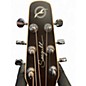Used Seagull Entourage Rustic Rustic Burst Acoustic Guitar