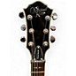 Used Michael Kelly PATRIOT DECREE QUILTED SCORCHED BURST Solid Body Electric Guitar