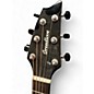 Used Breedlove Wildwood Pro Concert African Mahogony Acoustic Electric Guitar