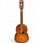 Used Washburn TCP130 2 Tone Sunburst Acoustic Guitar thumbnail