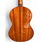 Used Washburn TCP130 2 Tone Sunburst Acoustic Guitar