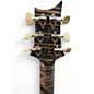 Used 2025 PRS Private Stock 12119 Paul's Guitar Charcoal Solid Body Electric Guitar