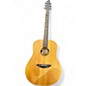 Used Breedlove D200SMP Passport Natural Acoustic Guitar thumbnail