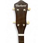 Used Harmony Open Back 5 String Natural Banjo