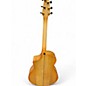 Used Breedlove Artista Concert Natural Shadow Acoustic Electric Guitar