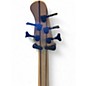Used Michael Kelly PINICAL 5 STRING BASS Spalted Maple Electric Bass Guitar