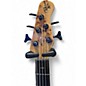 Used Michael Kelly PINICAL 5 STRING BASS Spalted Maple Electric Bass Guitar