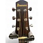 Used Ibanez EWP13-DBO wood Acoustic Guitar