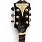 Used Epiphone Wildkat Gold Hollow Body Electric Guitar