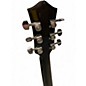 Used Firefly FF338 Black Hollow Body Electric Guitar