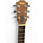 Used Taylor GS Mini Mahogany Mahogany Acoustic Guitar