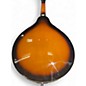 Used Rogue RM110AE Sunburst Mandolin