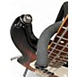 Used Fender Player Precision Bass 3 Color Sunburst Electric Bass Guitar