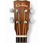 Used Cordoba UP100 Brown Ukulele