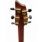 Used Bredlove Organic Solo Pro Concert CE edgeburst Acoustic Electric Guitar