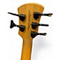 Used Spector NS ETHOS HP5 Spalted Maple Electric Bass Guitar