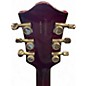 Used Gretsch Guitars G6119 Chet Atkins Signature Tennessee Rose TENNESSE ROSE Hollow Body Electric Guitar