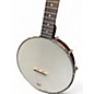 Used Recording King RKO 3S NATURAL Banjo